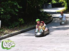 -圣淘沙天际线斜坡滑车
