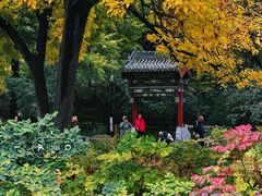 -迎泽公园