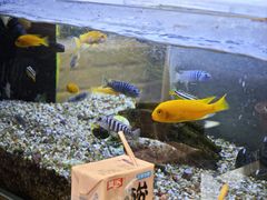 -水碾河刘老大串串香(水碾河路店)