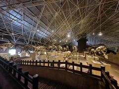 -世界恐龙谷景区