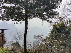 -青城山