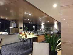 -碧桂园空港凤凰酒店(广州新白云机场店)