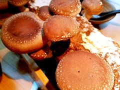 -大头椰·椰子鸡火锅(南宁万象城店)