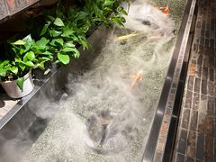 -0776食堂·京城创意菜(七里庄店)