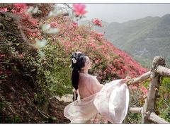 -木兰云雾山