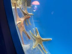 -西安曲江海洋极地公园