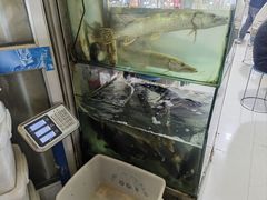 -煲来饱去冷水鱼