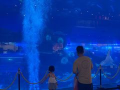 -成都浩海立方海洋公园