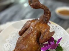 -鸽鸟轩(石岐店)