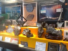 -志强陨石馆(双季花艺店)