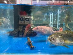 -盒马鲜生(龙德广场店)