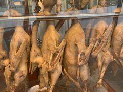 -裕华(南华东路店)