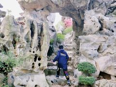 -上海鲜花港