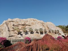 -北京西山国家森林公园