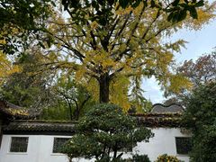 -水绘园
