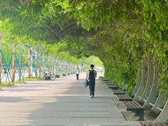 -南京邮电大学(仙林校区)