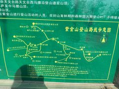 -紫金山山顶公园