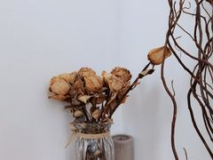 -HALF ORANGE 半个橙子