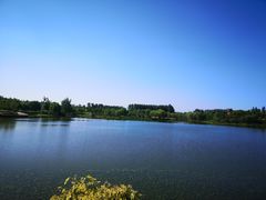 -东郊湿地公园