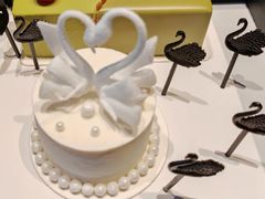 -BLACKSWAN黑天鹅(环球店)