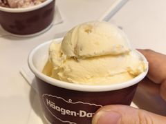 -哈根达斯(天河城店)