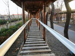 -河北村民俗体验园
