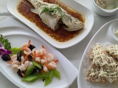 -云中小雅