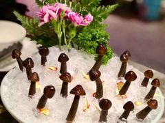 -禄婶鸡煲·打边炉