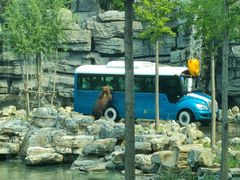 -北京野生动物园