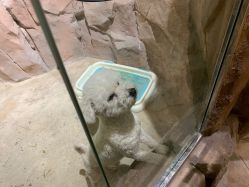 点击看大图 -宝燕乐园(闵行旗舰店)