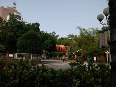 android_upload_pic-金砂公园
