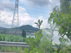 -李东农庄(中南百草园地标店)