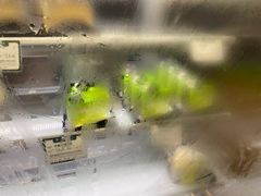 -蜂蝶来饼店(拱北总店)