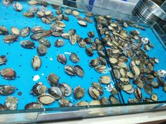 -福泉海码头(六里山店)