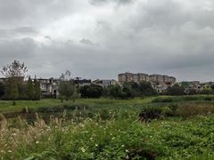 -两河城市森林公园