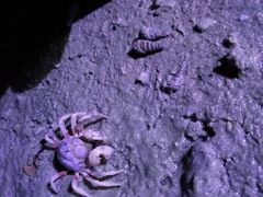 -北海金海湾红树林生态旅游区