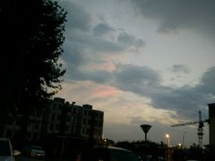 -极致味道动物奶油生日蛋糕(时尚店)