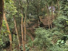 -广州市流溪河国家森林公园