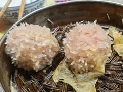 大力丸-风波庄(罍街分舵)