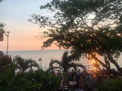 -卷心菜和避孕套餐厅(Pattaya)