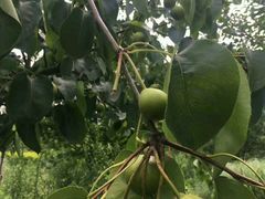 -成都中医药大学(温江校区)