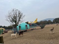 -苏州太湖西山岛开心农场