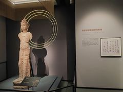 -四川大学博物馆