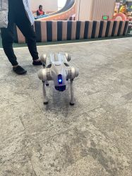 -奈尔宝·儿童乐园·亲子餐厅(华采天地店)