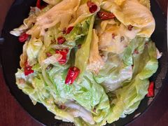 炝炒圆白菜-望京一号(请您到博雅店用餐·博雅店)