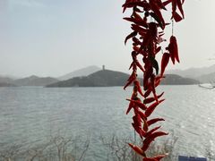 -望湖烤鱼
