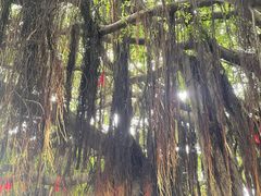 -胡里山炮台