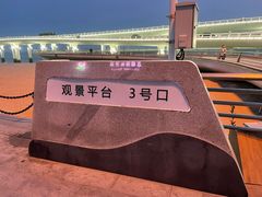 -演武大桥观景平台