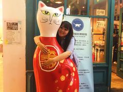 -猫咪博物馆(顶澳仔猫街店)