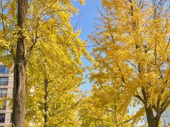 -湖畔居茶楼(湖滨店)